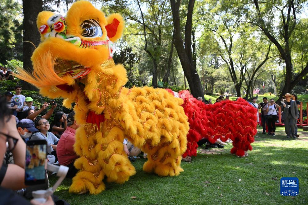 诚信客户端下载